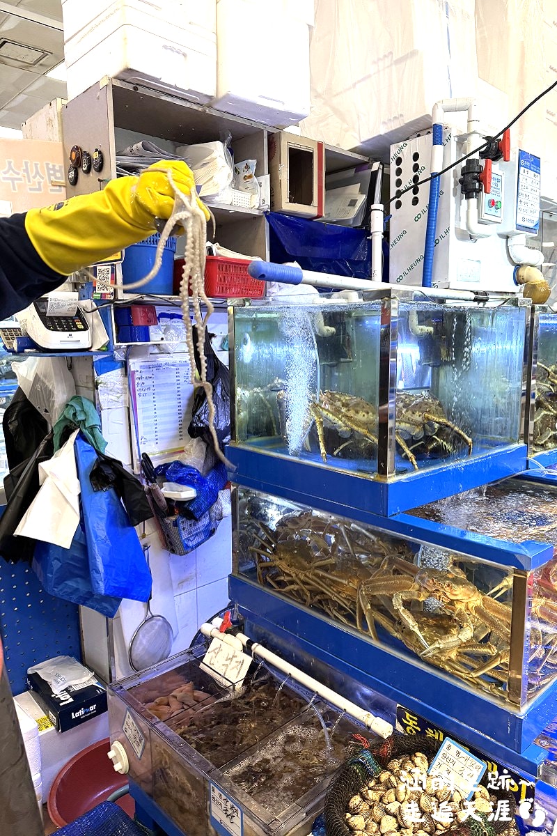 [韓國首爾] 鷺梁津水產市場 ~ 大吃活帝王蟹、松葉蟹、活章魚，一樓買海鮮，二樓代客料理，超鮮甜帝王蟹，首爾吃活海鮮的好地方