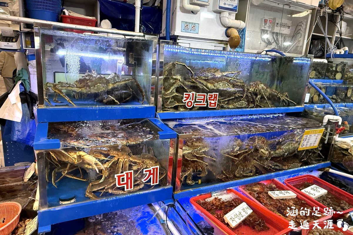 [韓國首爾] 鷺梁津水產市場 ~ 大吃活帝王蟹、松葉蟹、活章魚，一樓買海鮮，二樓代客料理，超鮮甜帝王蟹，首爾吃活海鮮的好地方